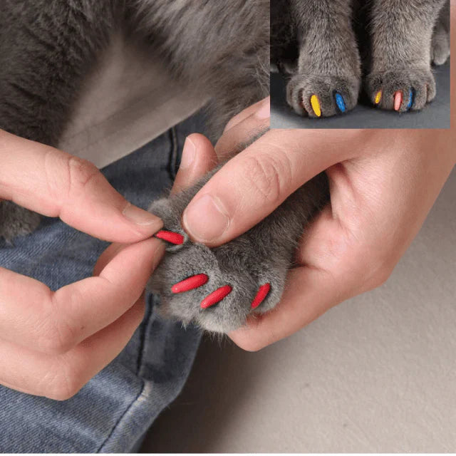 Imported Soft Silicone Nail Caps For Cats (Pack of 20)