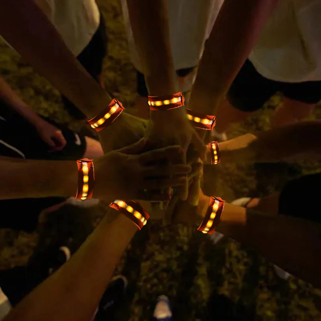 TriLight: Adventure Companion