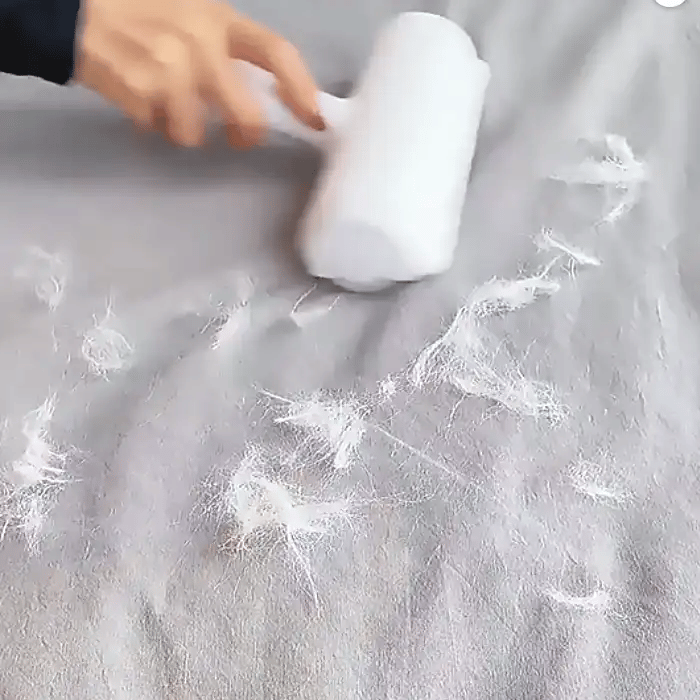 Whiz: Reusable Pet Hair Cleaner for Effortless Fur Removal from Clothes, Furniture, Carpets & More