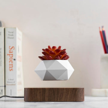 Potzi: Magnetic Levitating Bonsai Planter with Rotating Floating Pot & Wooden Base, Geometric Indoor Decor for Air Plants & Minimalist Homes